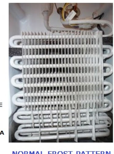 Screenshot 2026-03-02 at 11.03.53 AM