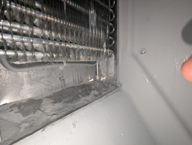 04 - Ice Removed Rt Side Detail