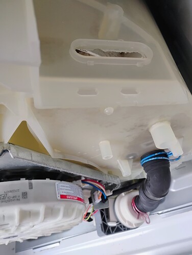 IMG_20251030_133402645_AE