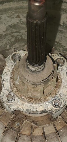 Screenshot_20260224-200701_Gallery