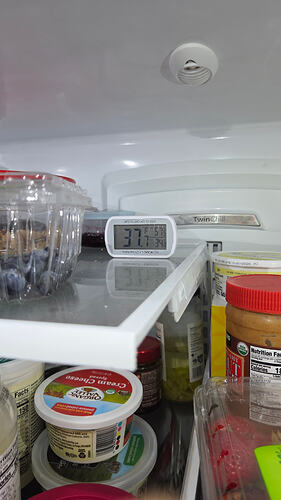 fridge thermometer2