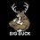 bigbuck1