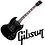 siliconghost